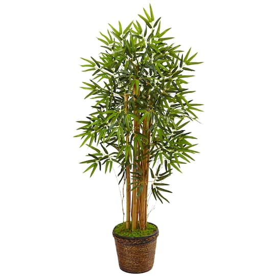 4.5ft. Bamboo Tree in Coiled Rope Planter